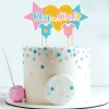 Cake Topper Assortis Theme Gender Reveal >Cerf Dellier Online