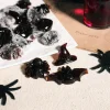 Coffret Je Fais Mes Bonbons D'Halloween>Cerf Dellier Best