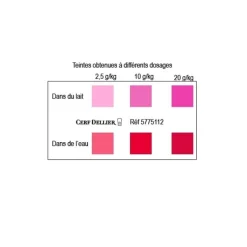 Cerf Dellier Colorants Alimentaires En Poudre*Colorant Poudre Alimentaire Rouge Framboise 100 G