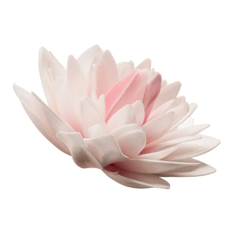 Dahlia Rose Geant Azyme>Cerf Dellier Clearance