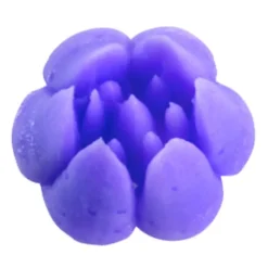 Cerf Dellier Douilles*Douille A Fleur Inox N 10 Patisdecor