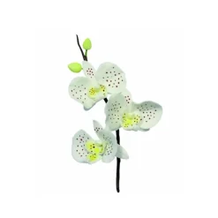 Cerf Dellier Emporte-Pièces Et Découpoirs*Emporte-Pièces Inox Petales Orchidee Pme (X 3)
