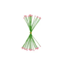 Etamines Roses Pour Fleurs Pâte À Sucre (X40)>Cerf Dellier Sale