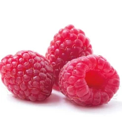 Cerf Dellier Extraits*Extrait De Framboise 20% Patisdecor 50 Ml