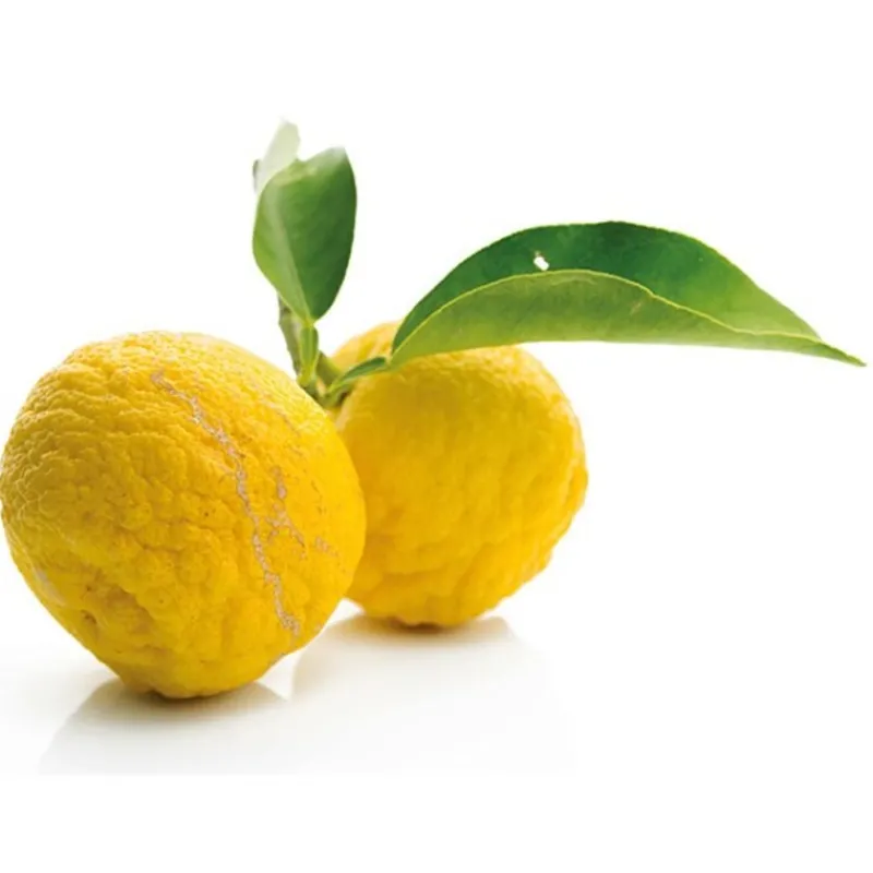 Cerf Dellier Extraits*Extrait De Yuzu Patisdecor 50 Ml