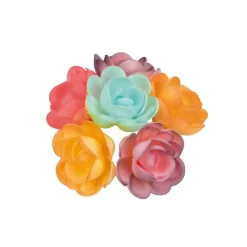 Grandes Roses Assorties Nuancees (X36)>Cerf Dellier Discount