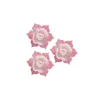 Jonquille Blanche Et Rose (X28)>Cerf Dellier Hot