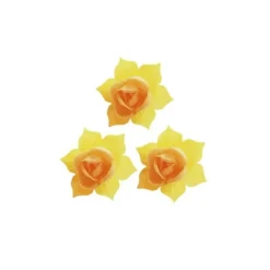 Jonquille Jaune Et Or (X28)>Cerf Dellier