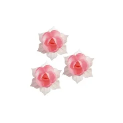 Jonquille Rose Et Blanche (X 5)>Cerf Dellier Clearance