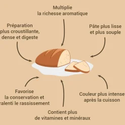 Cerf Dellier Levures*Levain De Ble Dur Patisdecor 150 G