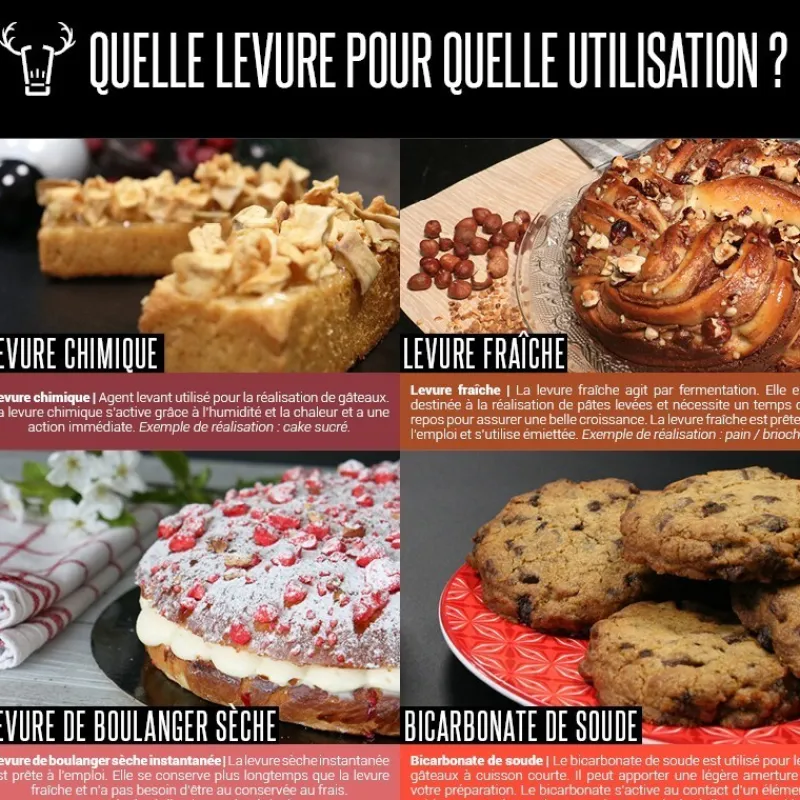 Cerf Dellier Levures*Levure De Boulanger Seche Instantanee 50 G Patisdecor - Ddm 06/23