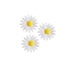 Marguerite Blanche (X100)>Cerf Dellier Clearance