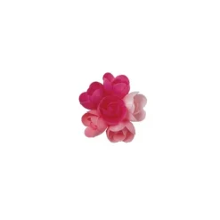 Mini-Rose Arome Fruits Rouges (X60)>Cerf Dellier Best