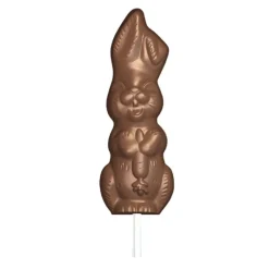 Cerf Dellier Moules Chocolat*Moule Chocolat Sucettes Lapin