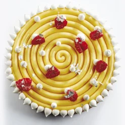 Cerf Dellier Moules À Tarte*Moule Silicone Ipnosi Grand Pavoni
