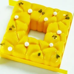 Cerf Dellier Grands Gâteaux*Moule Silicone Square Pavoni