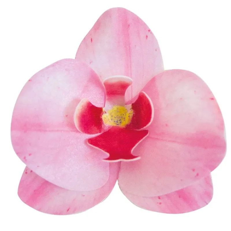 Orchidees Roses Azyme (X10)>Cerf Dellier Best