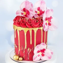 Orchidees Roses Azyme (X10)>Cerf Dellier Best
