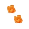Petite Rose Abricot (X72)>Cerf Dellier Best