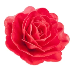 Rose Rouge Geante Azyme>Cerf Dellier Sale