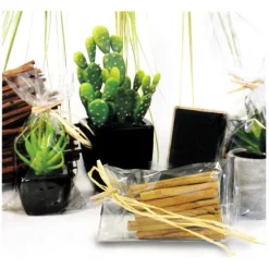 Sachet Plat Polypropylene Neutre 30 (X100)>Cerf Dellier Discount